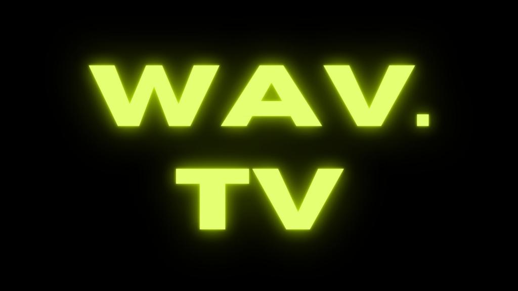 wav.tv安全嗎？五個最佳下載工具！